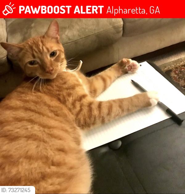 Lost Male Cat last seen Waters Road, Alpharetta, GA 30022