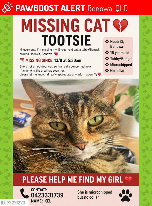 Lost Female Cat last seen Sapium Road, Ashmore QLD, Benowa, QLD 4217