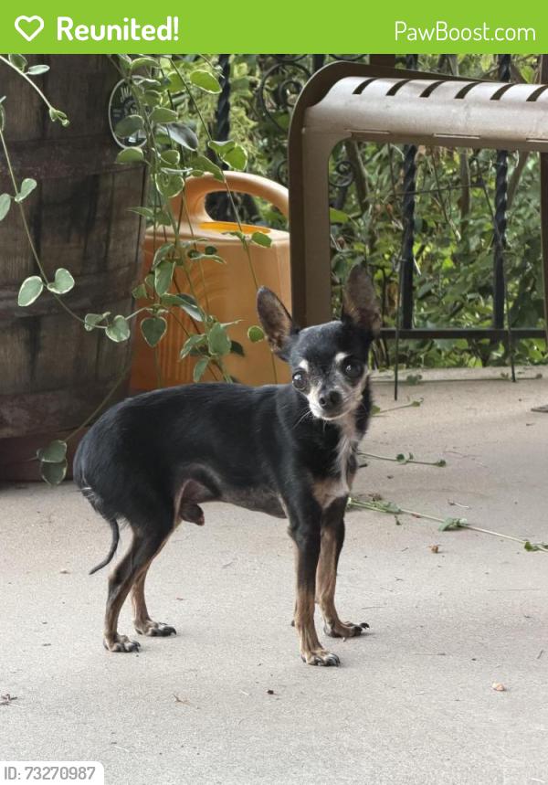 Reunited Male Dog last seen Central ave, Cheyenne, WY 82006