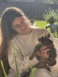 Lost Female Cat last seen Whispering lane Tyler tx, Tyler, TX 75707