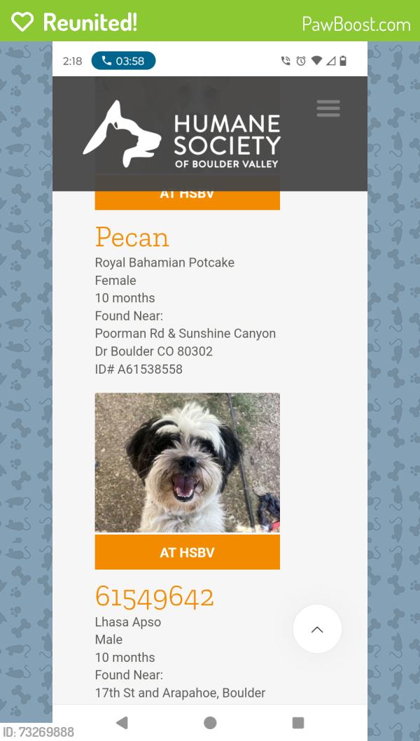 Reunited Male Dog last seen 36th monoco, Denver, CO 80237