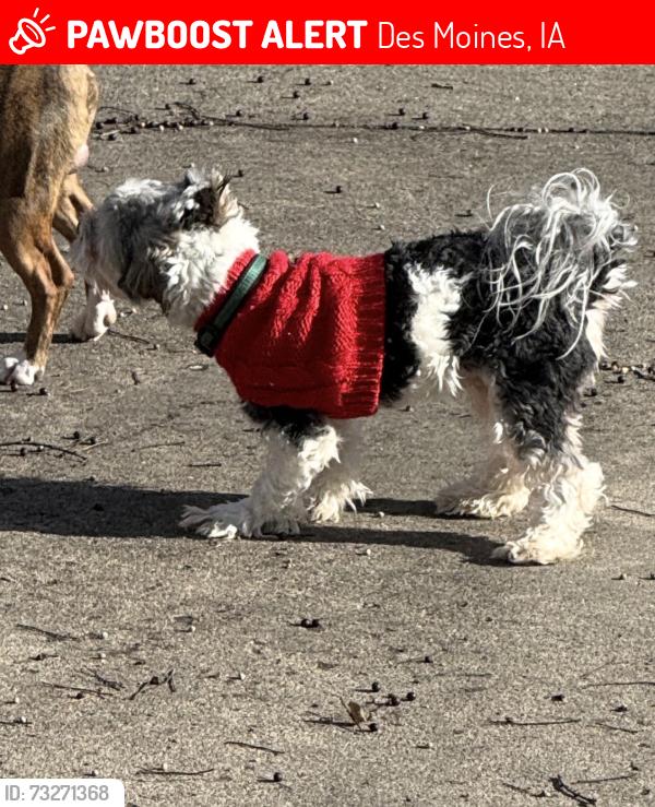 Lost Male Dog last seen 5th and Beckwirth, Des Moines, IA 50313