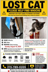 Reunited Male Cat last seen Rancho Cucamonga high school, Rancho Cucamonga, CA 91701