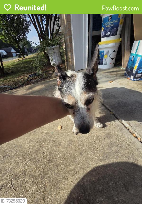 Reunited Male Dog last seen Fox chase dr and Dart dr, Haughton, LA 71037