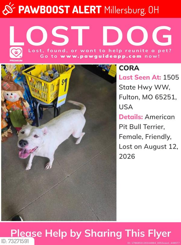 Lost Female Dog last seen Dollar General on millersburg, Millersburg, OH 44654