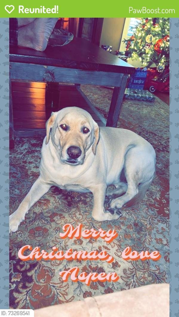 Reunited Female Dog last seen Hickorygrove Rd N, Valdosta, GA 31606