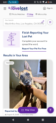 Lost Male Dog last seen Hollywood and highland, Los Angeles, CA 90057