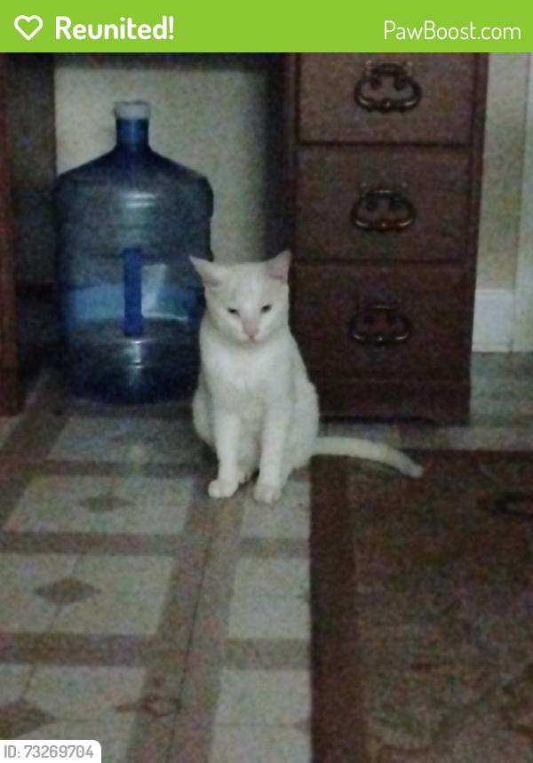Reunited Unknown Cat last seen Stone prairie, Sycamore, IL 60178