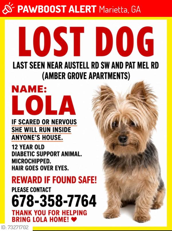 Lost Female Dog last seen Amber grove apmts, austell rd sw, Marietta, GA 30008