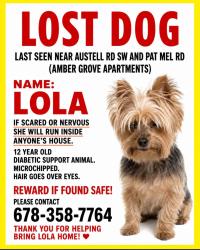 Lost Female Dog last seen Amber grove apmts, austell rd sw, Marietta, GA 30008