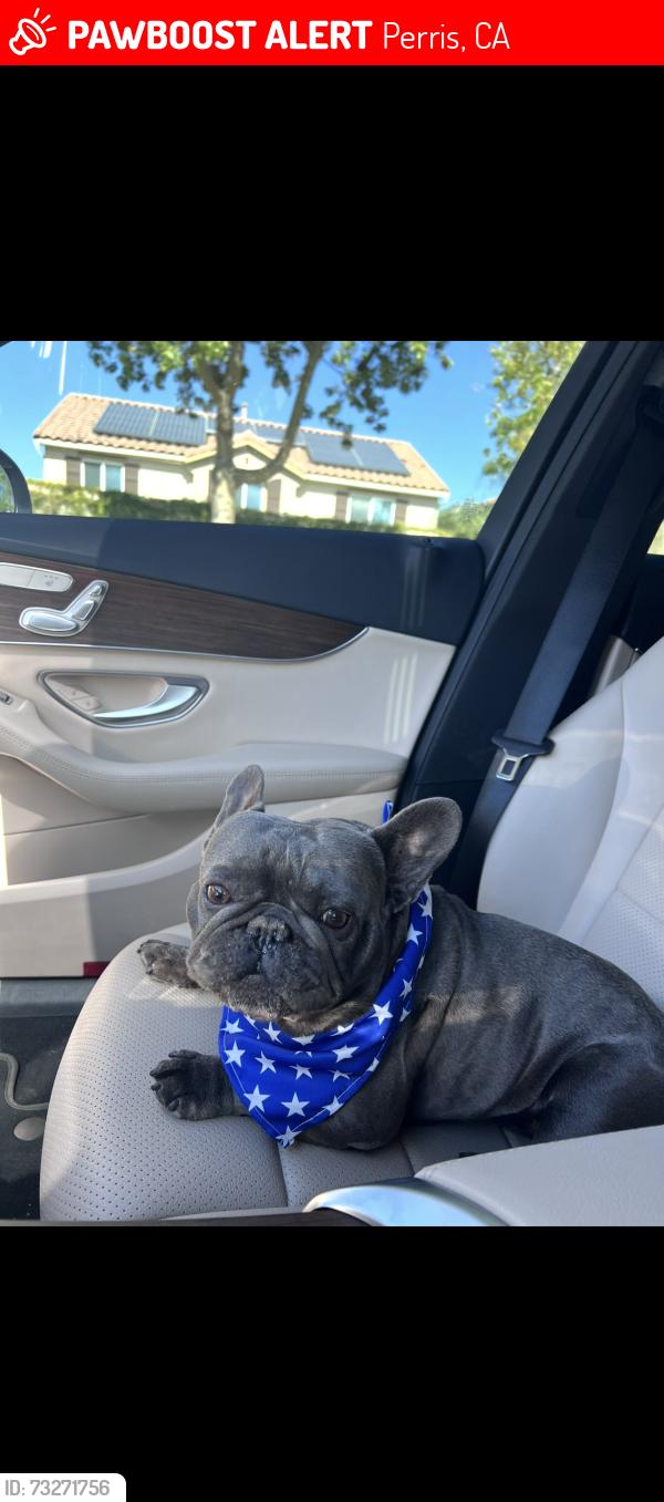 Lost Male Dog last seen Around saint James Catholic Church, Perris, CA 92571
