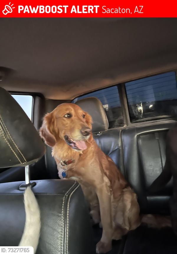 Lost Male Dog last seen Casa Blanca Rd & N Garcia Rd., Sacaton, AZ 85147