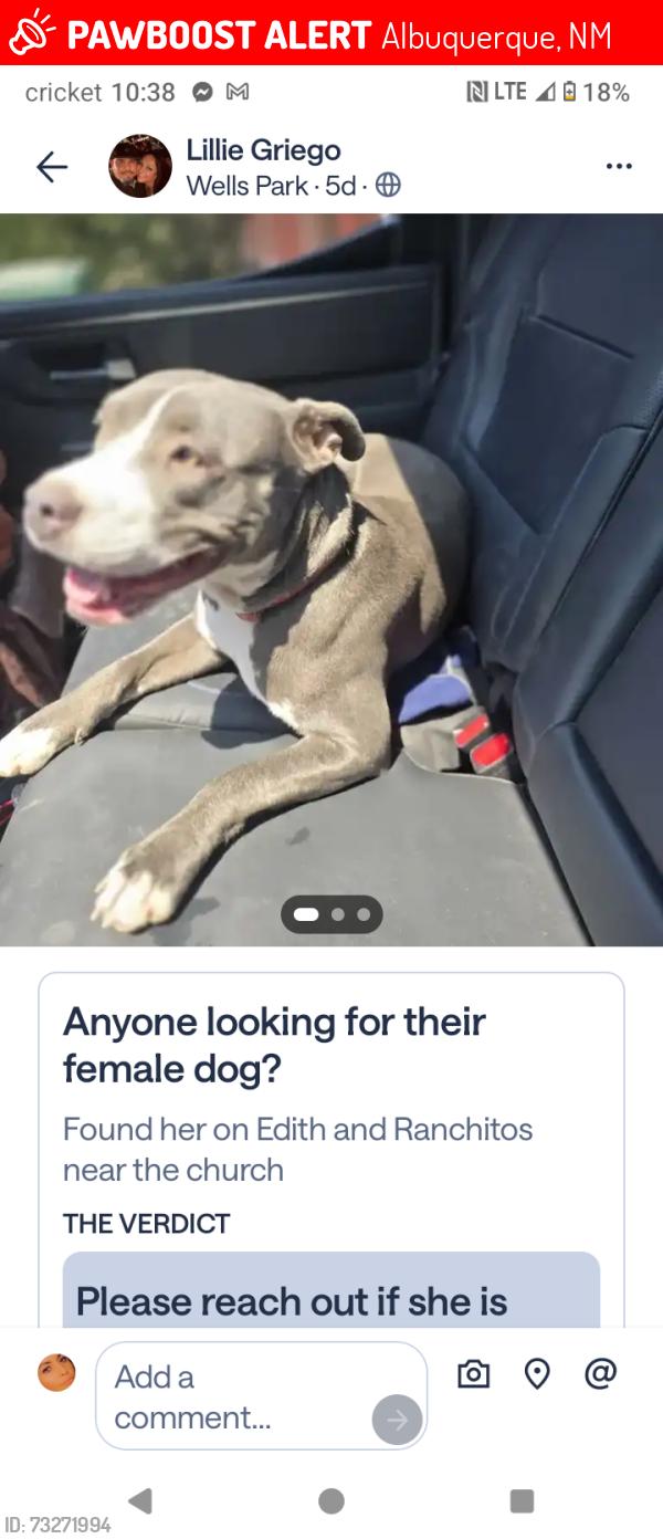 Lost Female Dog last seen Edith and ranchitos, Albuquerque, NM 87113