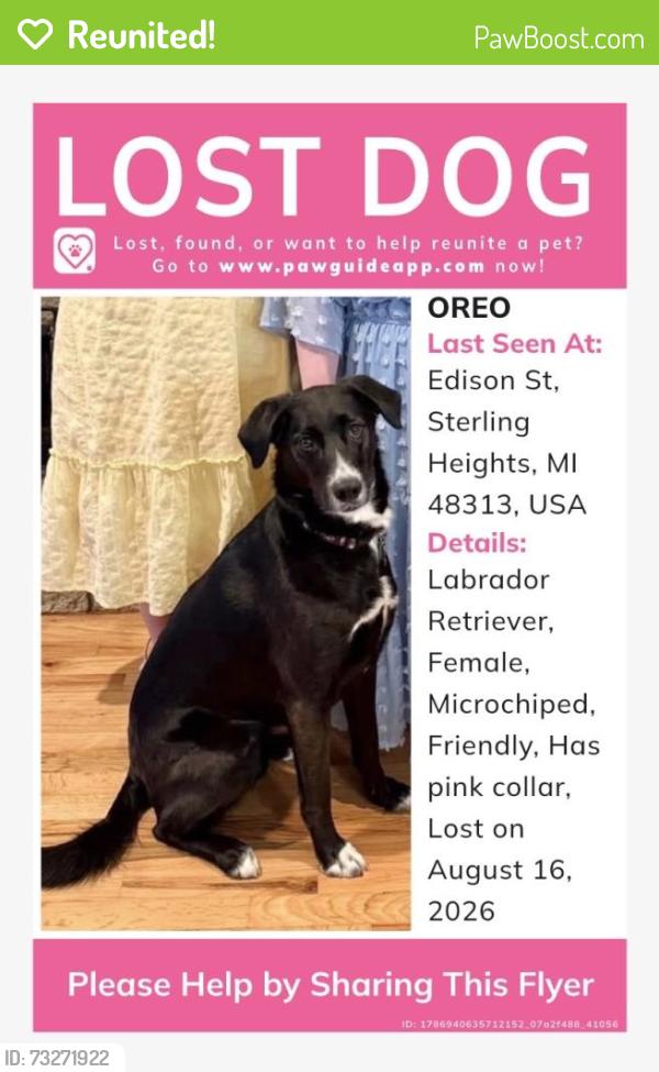 Reunited Female Dog last seen Edison St, Sterling Heights, MI 48313, USA, Sterling Heights, MI 48313