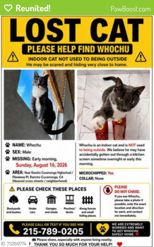 Reunited Male Cat last seen Rancho Cucamonga high school, Rancho Cucamonga, CA 91701