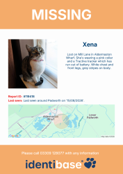 Reunited Female Cat last seen Mill Lane, Padworth, Padworth, England RG7 4JU