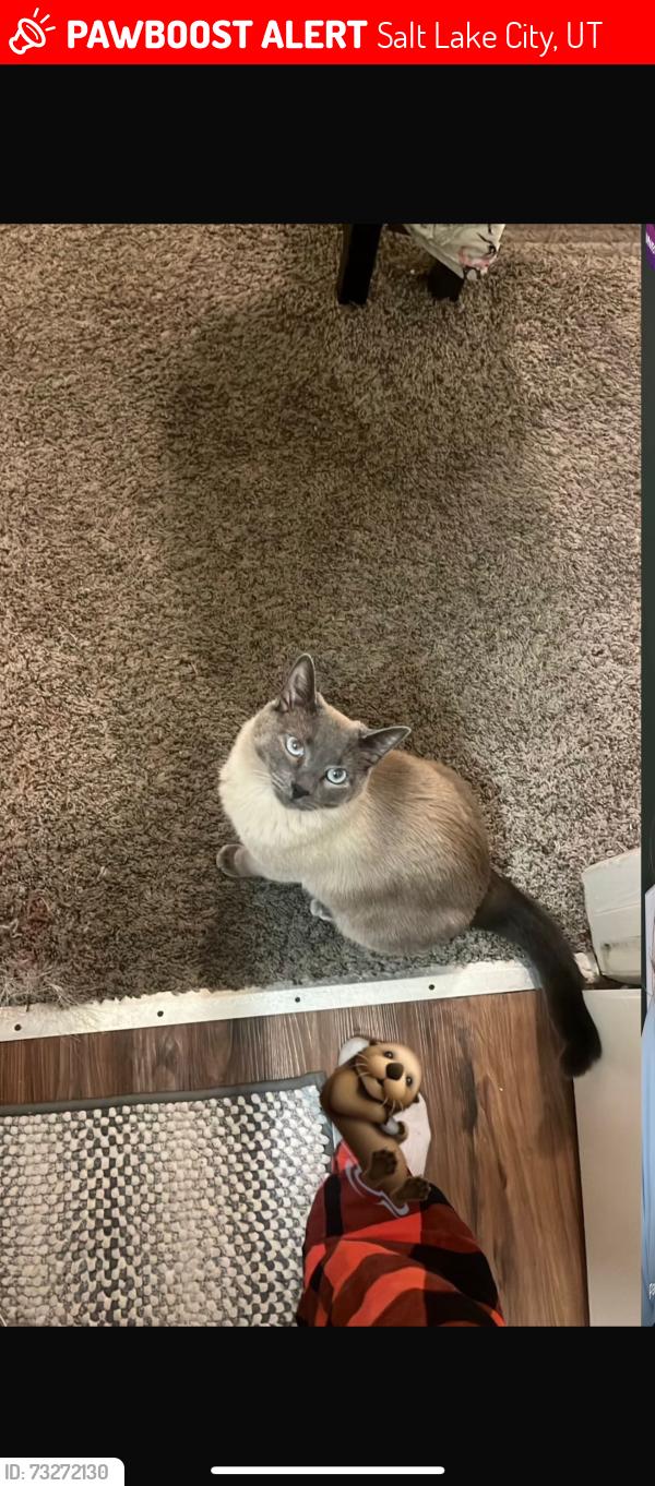 Lost Female Cat last seen Near s 1515 west valley city, Salt Lake City, UT 84123