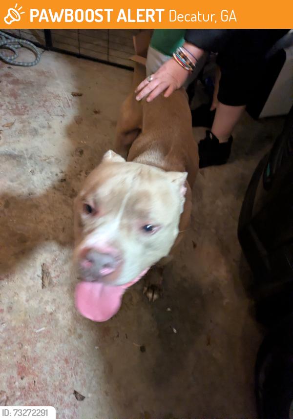 Found/Stray Male Dog last seen Columbia Drive and Peachcrest, Decatur, GA 30032
