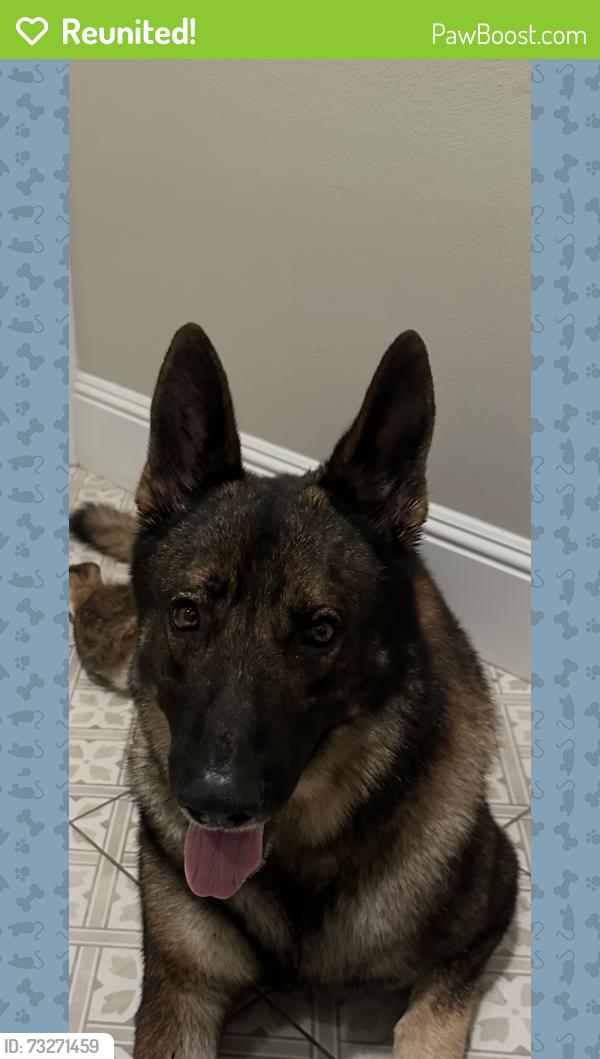 Reunited Unknown Dog last seen West Welch Rd., Apopka, FL 32712