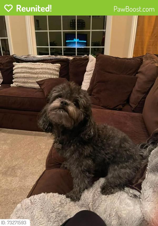 Reunited Male Dog last seen 127th and Heggs, Plainfield, IL 60585