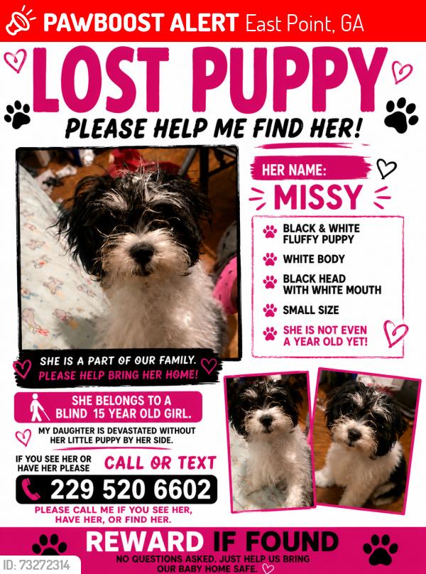 Lost Female Dog last seen Cleveland Avenue, East Point, GA 30344