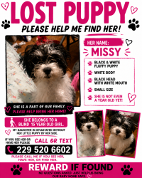 Lost Female Dog last seen Cleveland Avenue, East Point, GA 30344