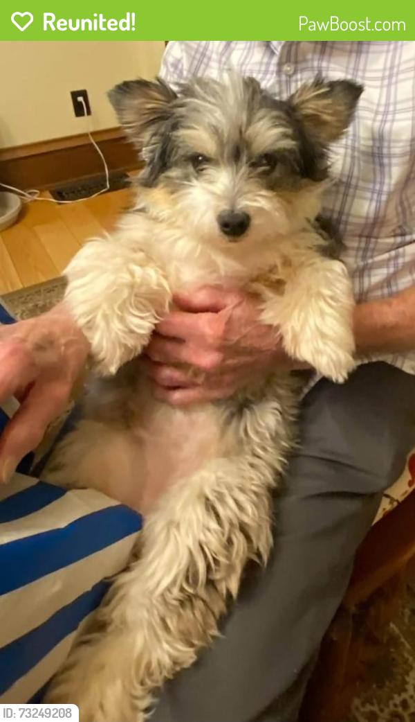 Reunited Female Dog last seen Near West Water Street 45601, Chillicothe, OH 45601