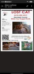 Lost Male Cat last seen 29th and Vincent Ave N Minneapolis, Minneapolis, MN 55411