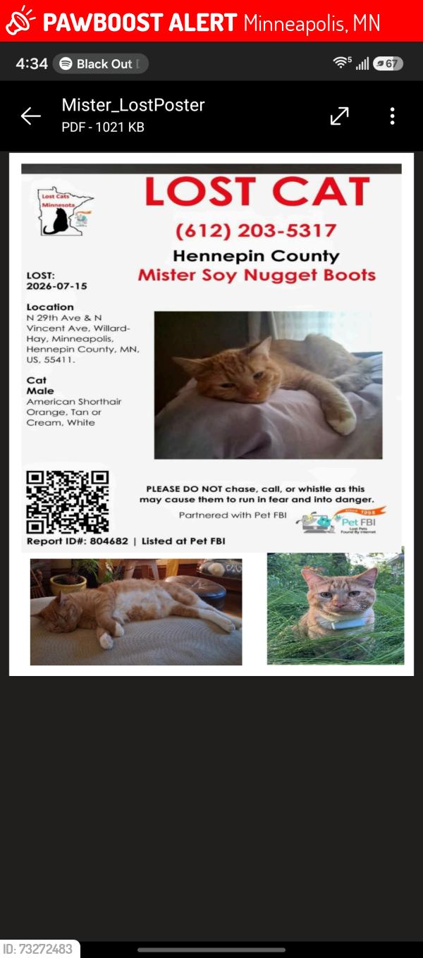 Lost Male Cat last seen 29th and Vincent Ave N Minneapolis, Minneapolis, MN 55411