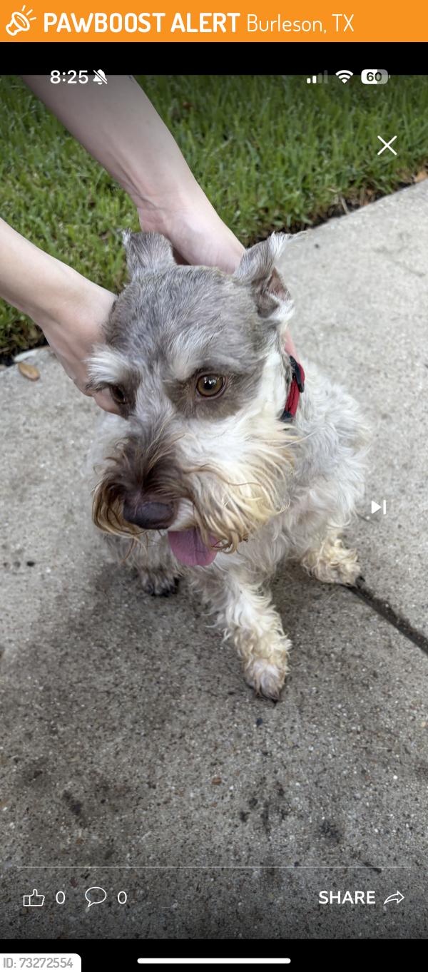 Found/Stray Male Dog last seen Southwest dian street, Burleson, TX 76028