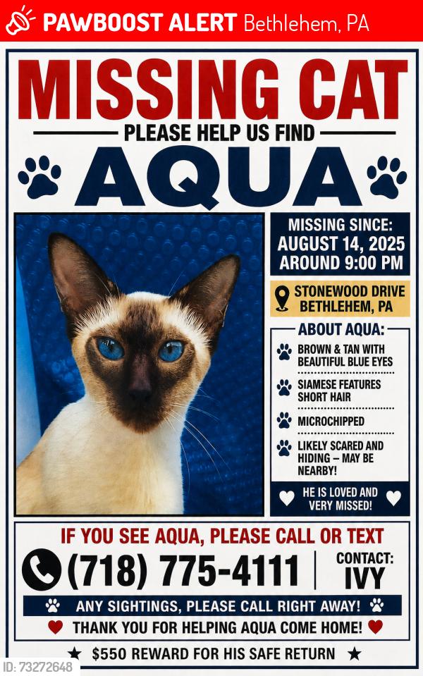 Lost Male Cat last seen Stonewood Drive in Bethlehem, Bethlehem, PA 18017
