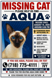 Lost Male Cat last seen Stonewood Drive in Bethlehem, Bethlehem, PA 18017