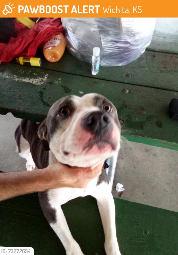 Found/Stray Male Dog last seen Union rescue mission, Wichita, KS 67219