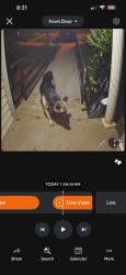Found/Stray Unknown Dog last seen n dobys bridge road and sanders st, Fort Mill, SC 29716