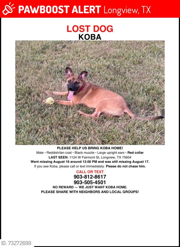 Lost Male Dog last seen Near west fairmont street Longview texas, Longview, TX 75604