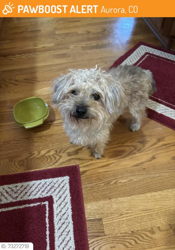 Found/Stray Male Dog last seen Bellview & Gun Club, Aurora, CO 80016