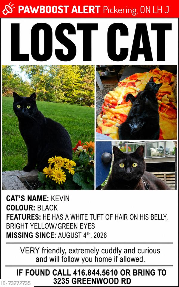 Lost Male Cat last seen Greenwood conservation, Greenwood Rd and 5th concession, Pickering, ON L0H 1J0