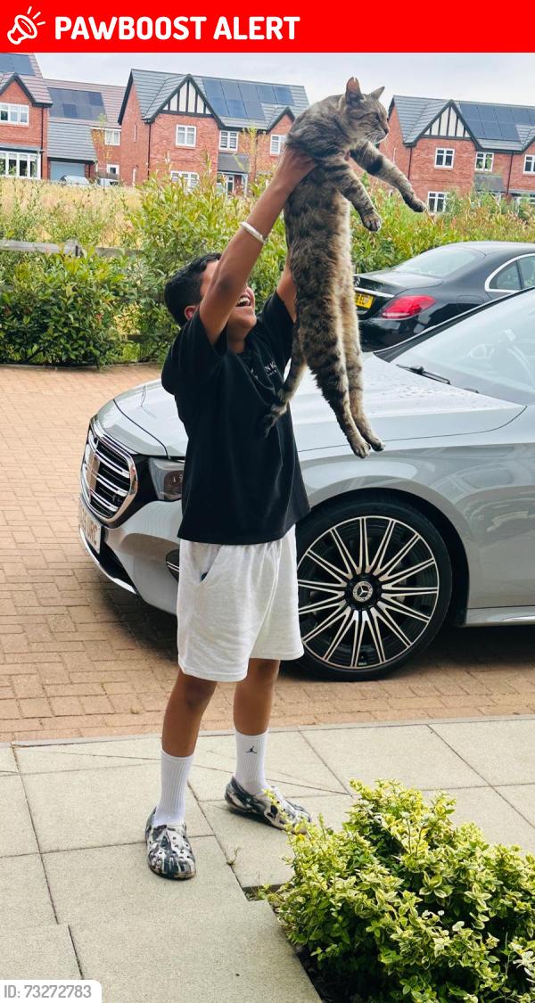 Lost Male Cat last seen De13 9fr, Staffordshire, England DE13 9FR