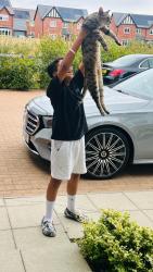 Lost Male Cat last seen De13 9fr, Staffordshire, England DE13 9FR