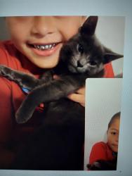 Reunited Female Cat last seen Atlantic Blvd, Maywood, CA 90270