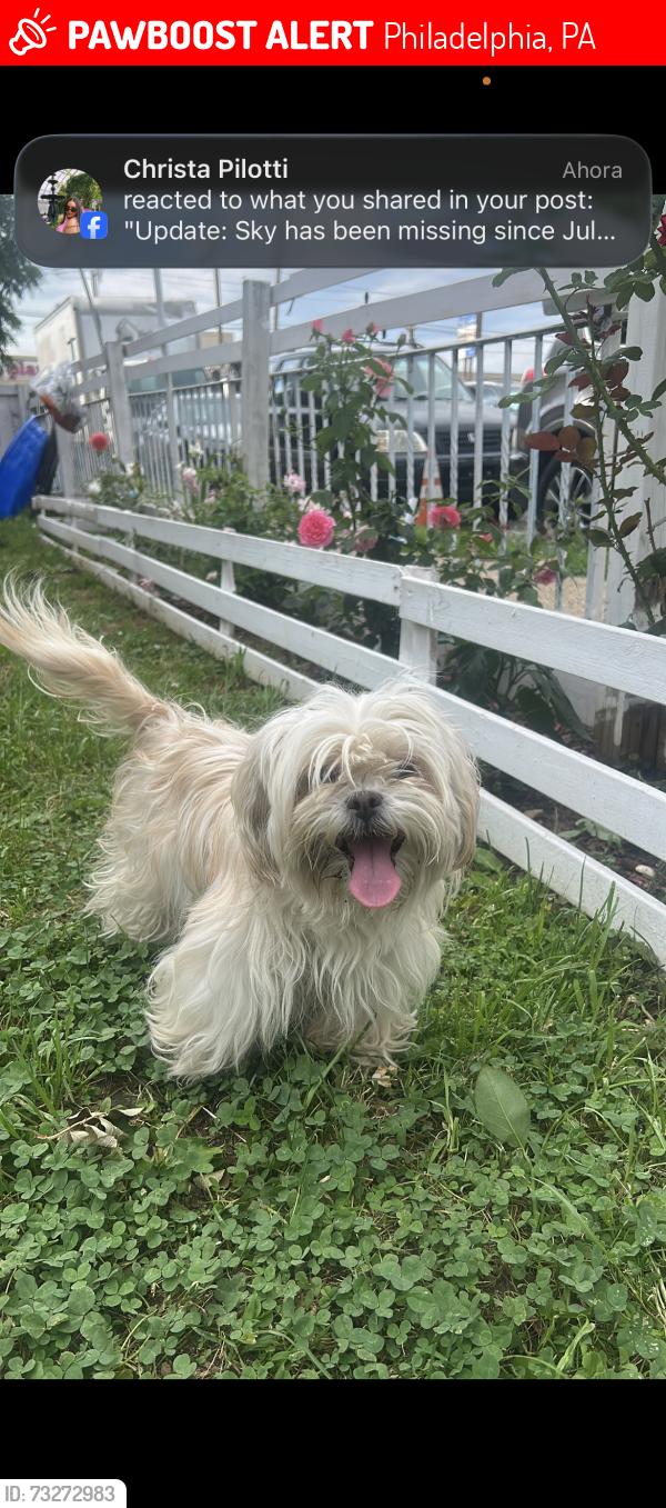 Lost Female Dog last seen Levic frankford, Philadelphia, PA 19124