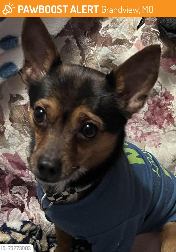 Found/Stray Male Dog last seen Southview Christian Church, Grandview, MO 64030