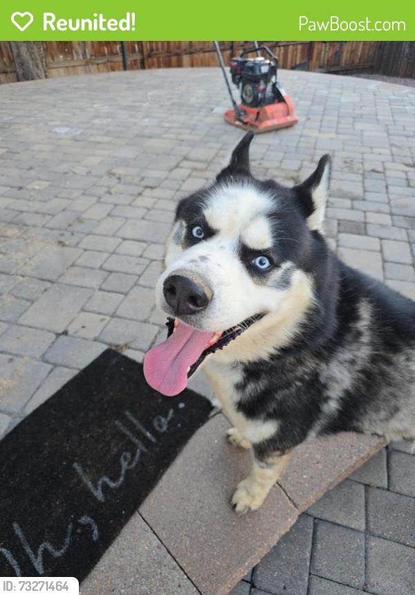 Reunited Male Dog last seen E chenango dr and s Himalaya st, Aurora, CO 80015