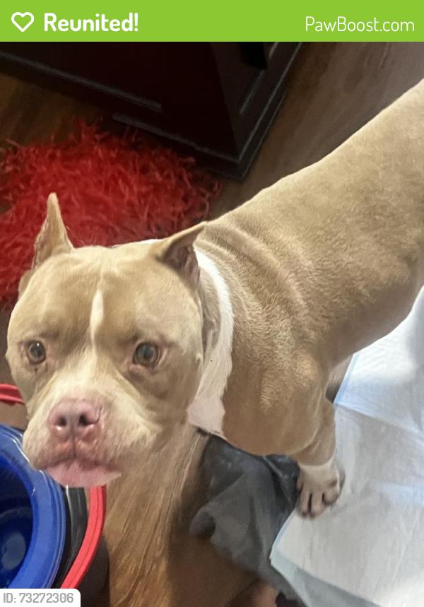 Reunited Unknown Dog last seen Archer high., Gwinnett County, GA 30045