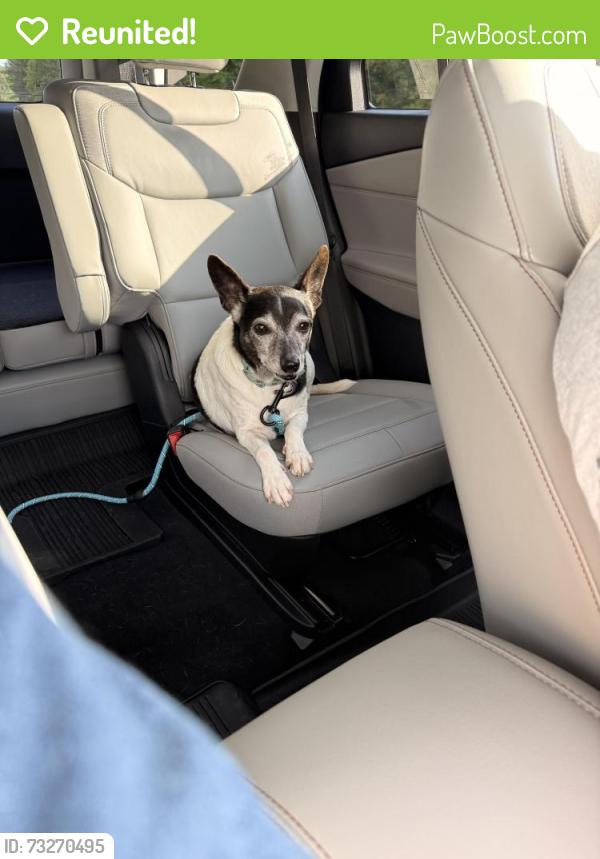 Reunited Male Dog last seen Shadowrock Dr, Whitfield County, GA 30755