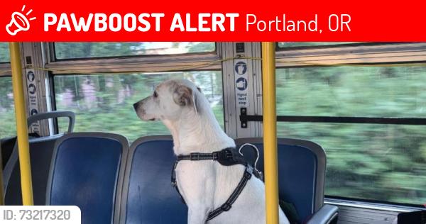 Lost Female Dog last seen Near stark, Portland, OR 97266