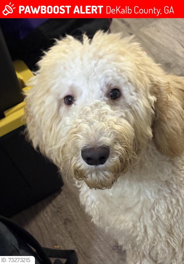 Lost Male Dog last seen clbh circle, DeKalb County, GA 30032