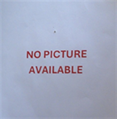 Shelter Stray Female Dog last seen Near BLOCK VERACITY PT, SANFORD, 232 Eslinger Way, Sanford, FL 32773, USA