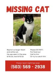Reunited Male Cat last seen Hawthorne Ave SE, Salem, OR 97301