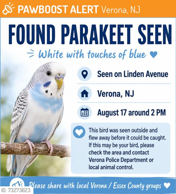Found/Stray Unknown Bird last seen linden ave verona nj, Verona, NJ 07044